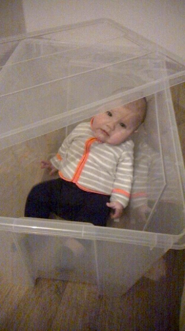On a trouvé un bébé dans une boite Ikea