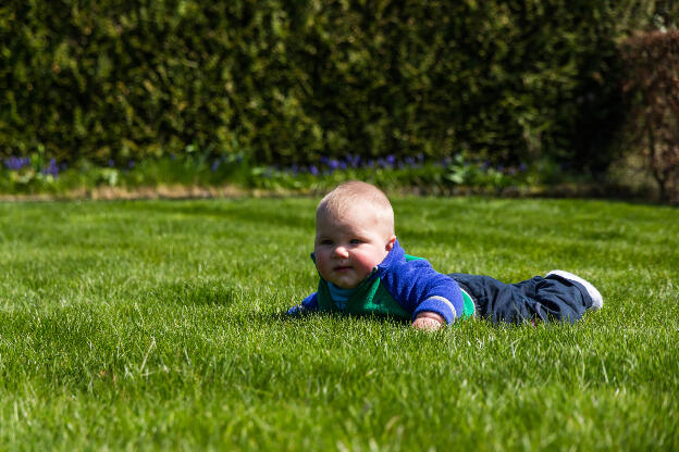 Victor bien installé sur la pelouse